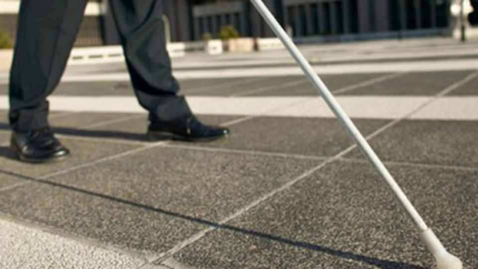 "Dünyada 284 milyon görme engelli var"