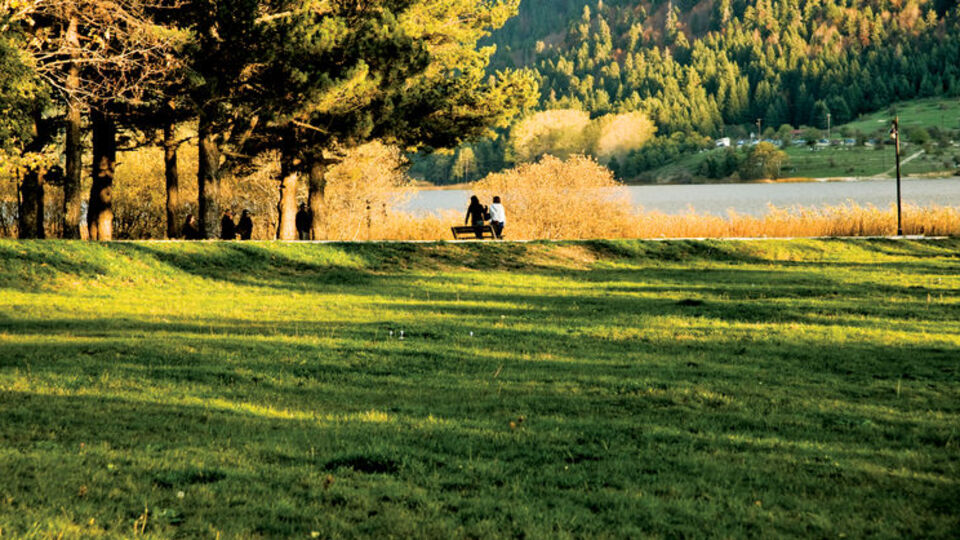 Sonbaharın renk devrimi Abant'ta