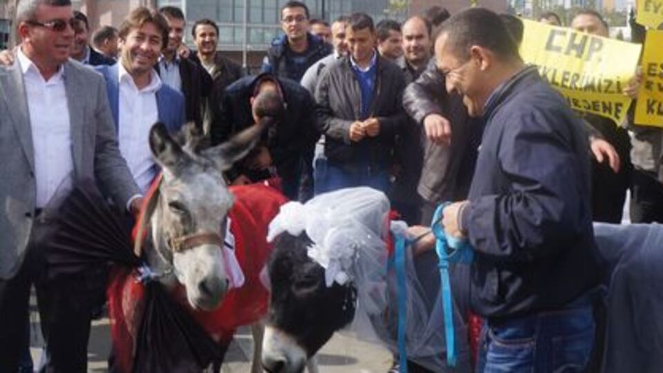 CHP binası önünde eşekleri evlendirdiler!