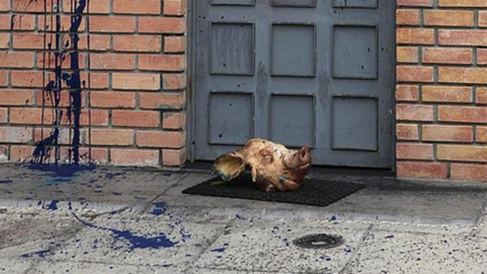 Yunanistan'da mescide domuz kafası bırakıldı!