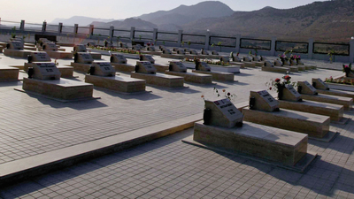 Bir incir çekirdeğinden Kıbrıs'ın kayıp bedenlerine