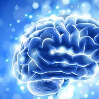 Sağlıklı bir beyin için bunları tüketin