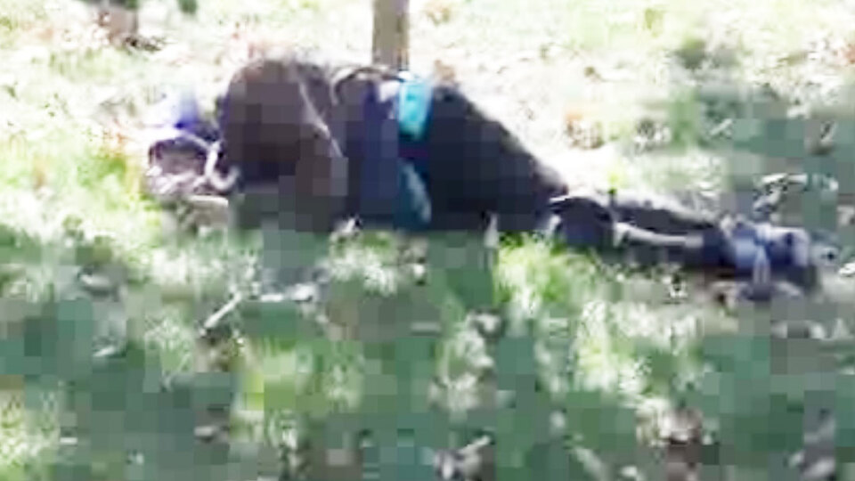 Gezi Parkı'nda şüpheli ölüm!