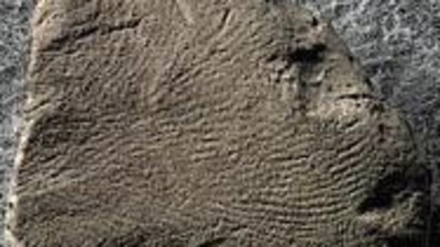 10 bin 500 yıllık parmak izi bulundu