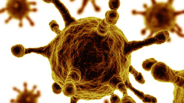 "MERS-CoV'da korkulan yaşanmadı"