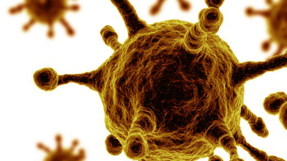 "MERS-CoV'da korkulan yaşanmadı"