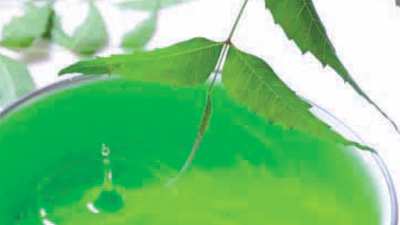 Cildi arındıran yapraklar