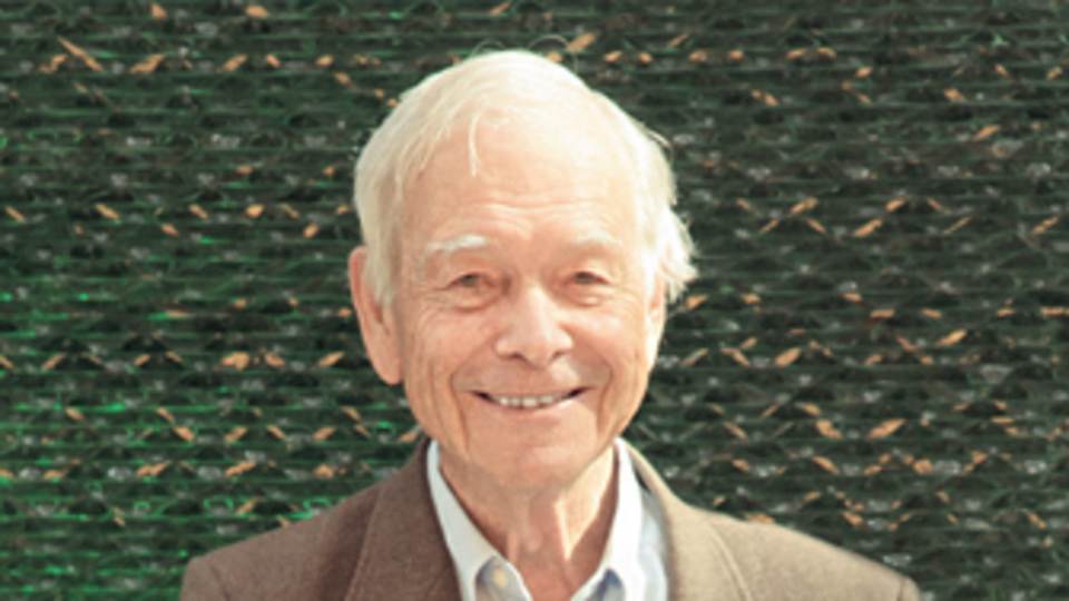 'Boşu boşuna 40 bin fil öldürdük'