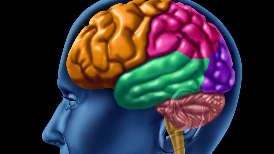 Mutluluk beyni zinde tutuyor