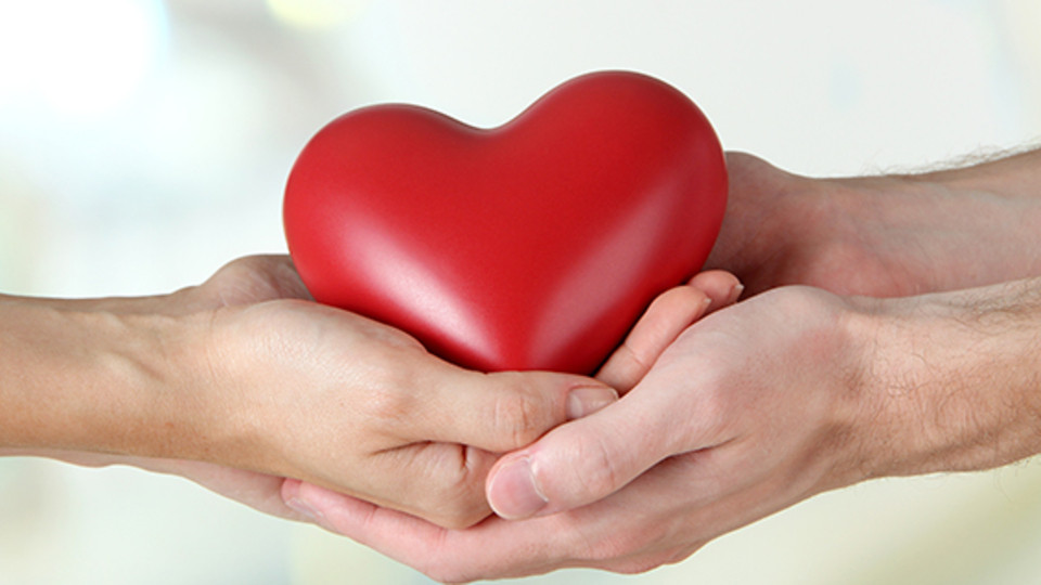 Organ bağışına Diyanet vizesi