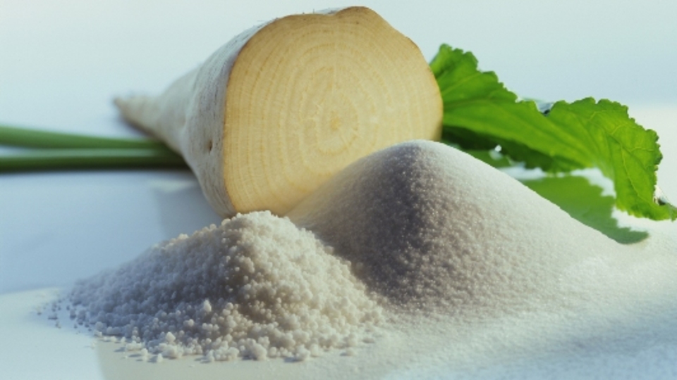 Kan yerine şeker pancarı