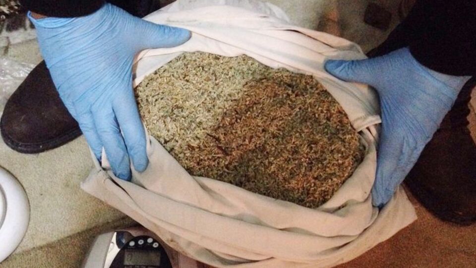 TDK uyuşturucu türlerine ortak isim bulacak