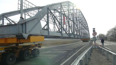 Görenler şaşkına döndü!