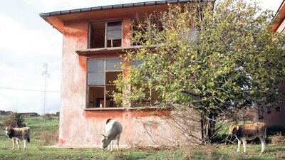 Çocuk sesleri sustu ineklere mekân oldu