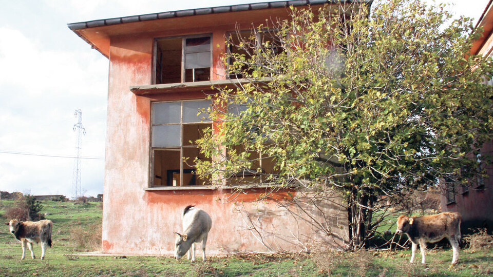 Çocuk sesleri sustu ineklere mekân oldu