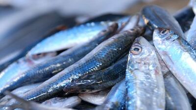 Çiğ balık yemek ciddi rahatsızlıklara neden oluyor