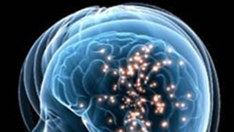 Zeka testini geçemeyene o işlem yasak!