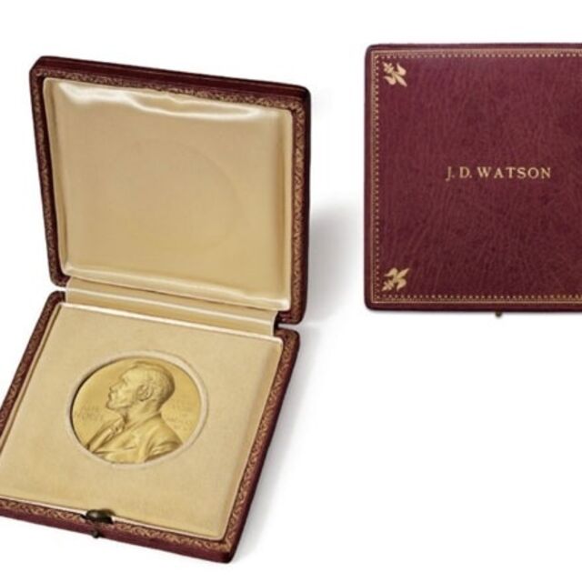 Nobel Ödülü'nü açık artırmaya çıkarıyor
