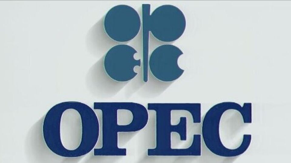 Petrol'de OPEC düşüşü!