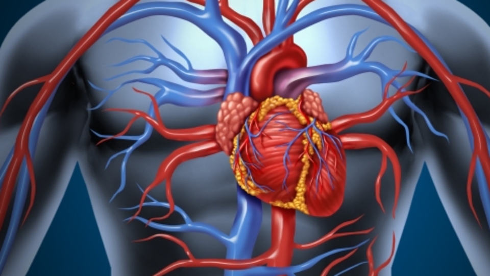 'Aort yırtılması sinsi bir tehlike'