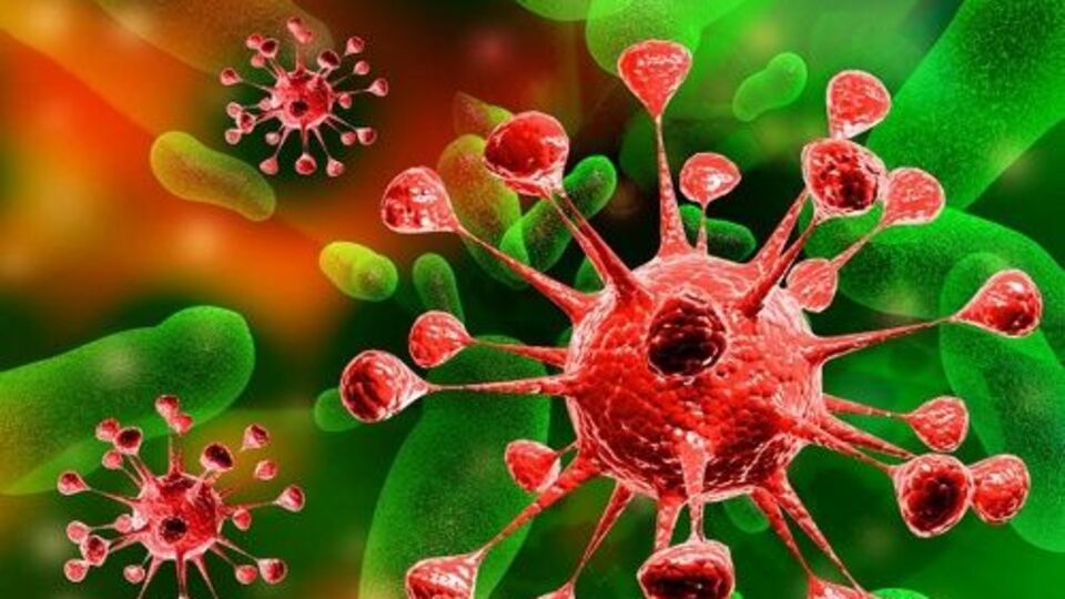 Şimdi de Lassa virüsü can alıyor