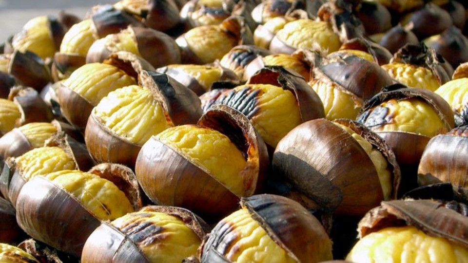 Kış mevsiminin sağlık deposu kestane