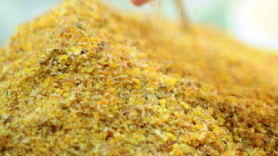 400 ton Mısır unu ele geçirildi