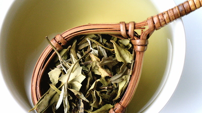 "Beyaz Çay" kansere umut oldu!