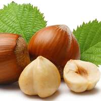 Fındık kabuğu kanser hastalarına şifa olacak!