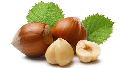 Fındık kabuğu kanser hastalarına şifa olacak!