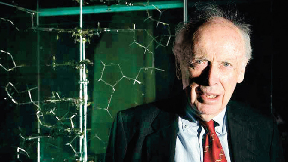 Nobel satmak insanı ayıptan arındırır mı