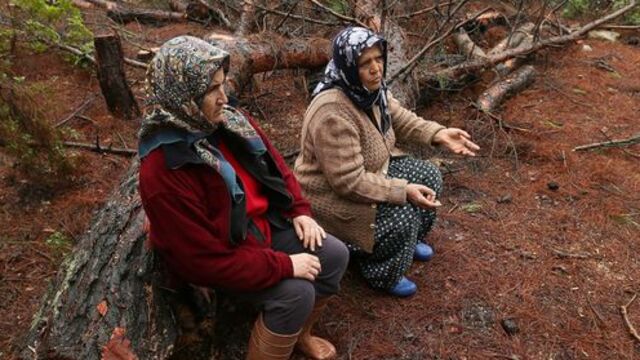 İzmir'de ağaç nöbeti