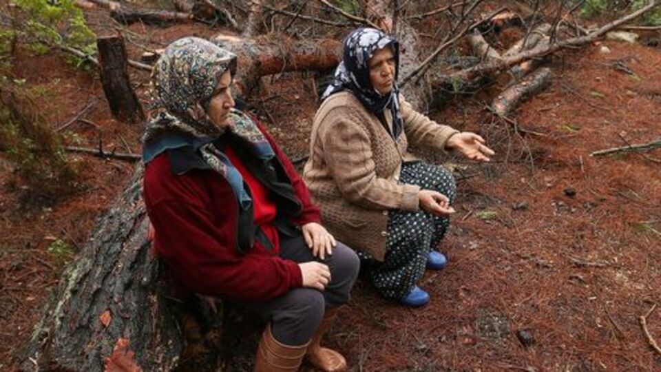 İzmir'de ağaç nöbeti
