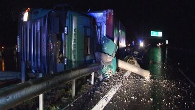 Tepişen inekler TIR'ı devirdi