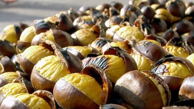 Kestane unutkanlığa bire bir!