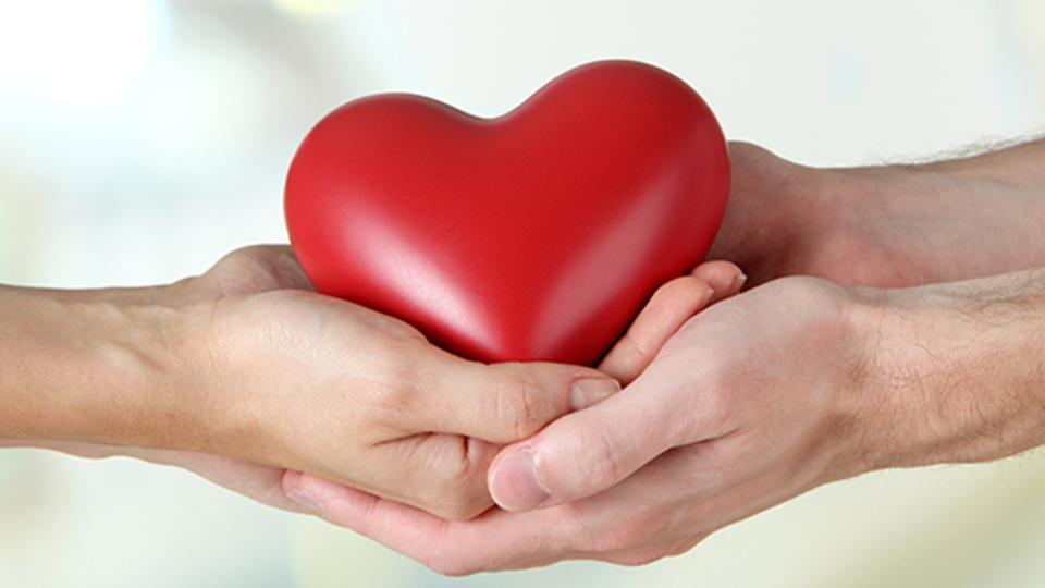 Kadavradan organ naklinde sınıfta kaldık