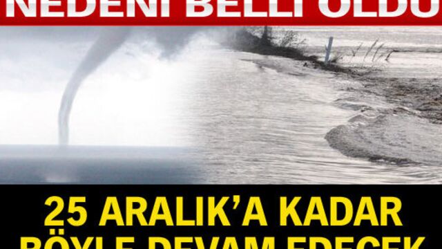Selleri sıcak hava getiriyor