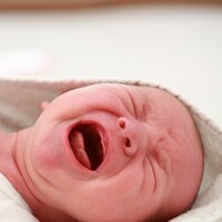 Onlar da strese ağlayarak tepki gösteriyor