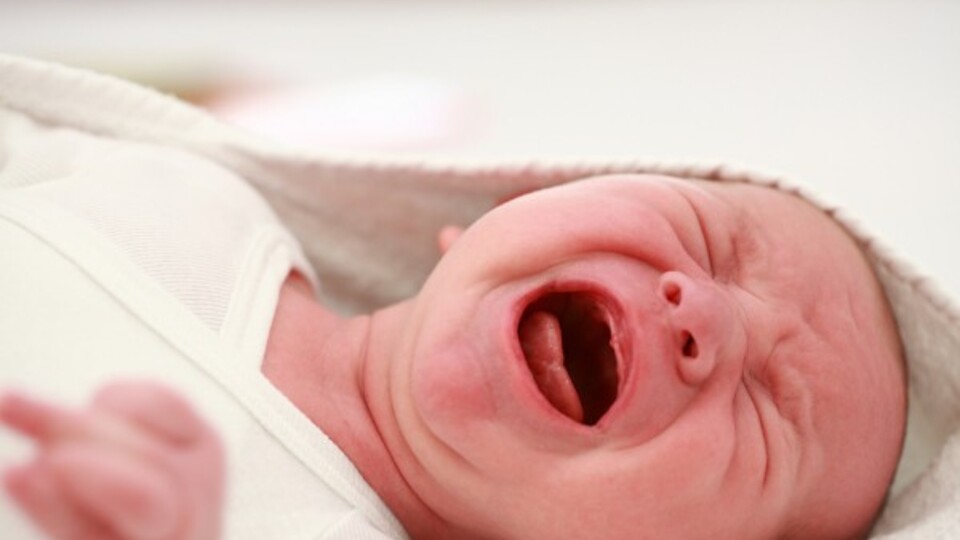 Onlar da strese ağlayarak tepki gösteriyor