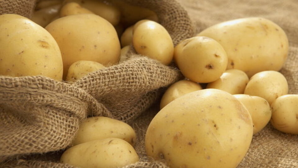 Patates şişmanlatmıyormuş!