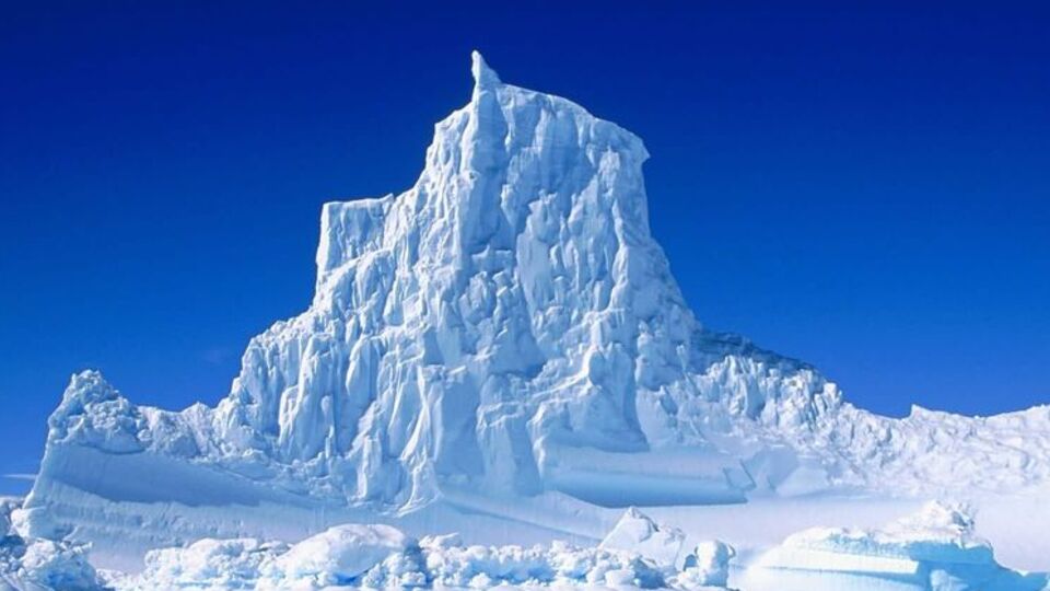 Türkiye harekete geçti!