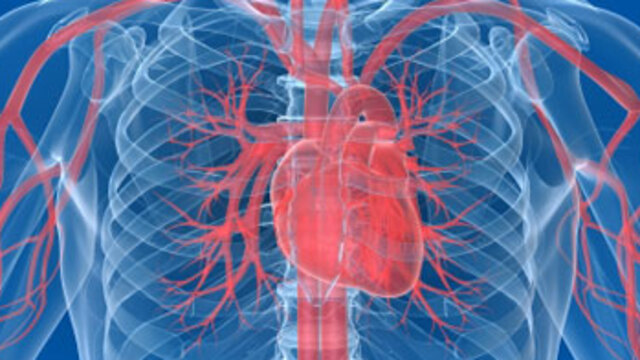 Stent sonrası 6 aya dikkat!
