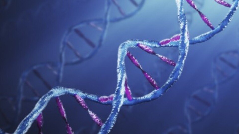 DMD'nin erken teşhisinde ''genetik'' müdahale