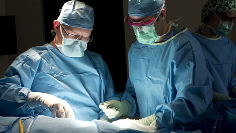 Bacağından alınan deri kasığına nakledildi