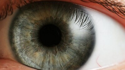 'Tavuk Karası'nda kök hücre başarısı!