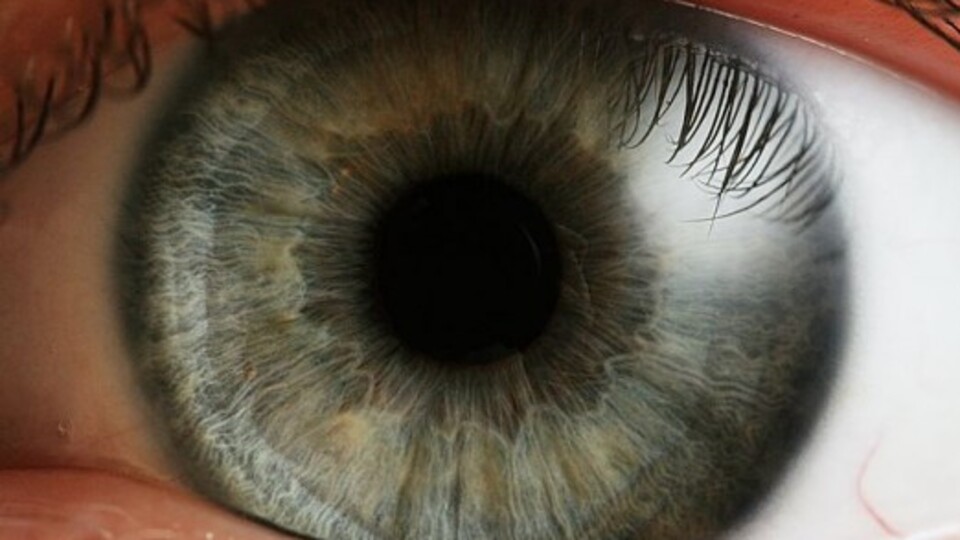 'Tavuk Karası'nda kök hücre başarısı!