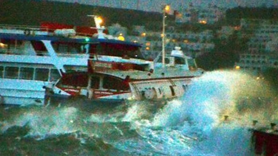 Deniz otobüsünü kurtarmak isterken çarptı