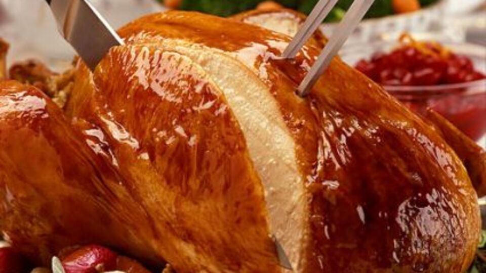 Hindi eti protein ve mineral deposu