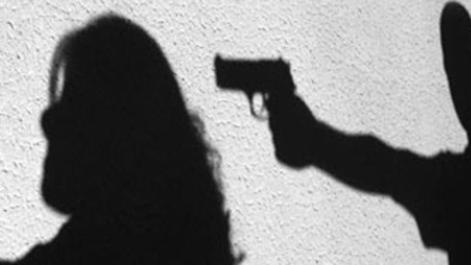 2014'te 294 kadın, erkek şiddeti kurbanı oldu ve 2015'i göremedi