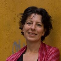 Gözaltına alınan Hollandalı gazeteci Frederike Geerdink serbest bırakıldı